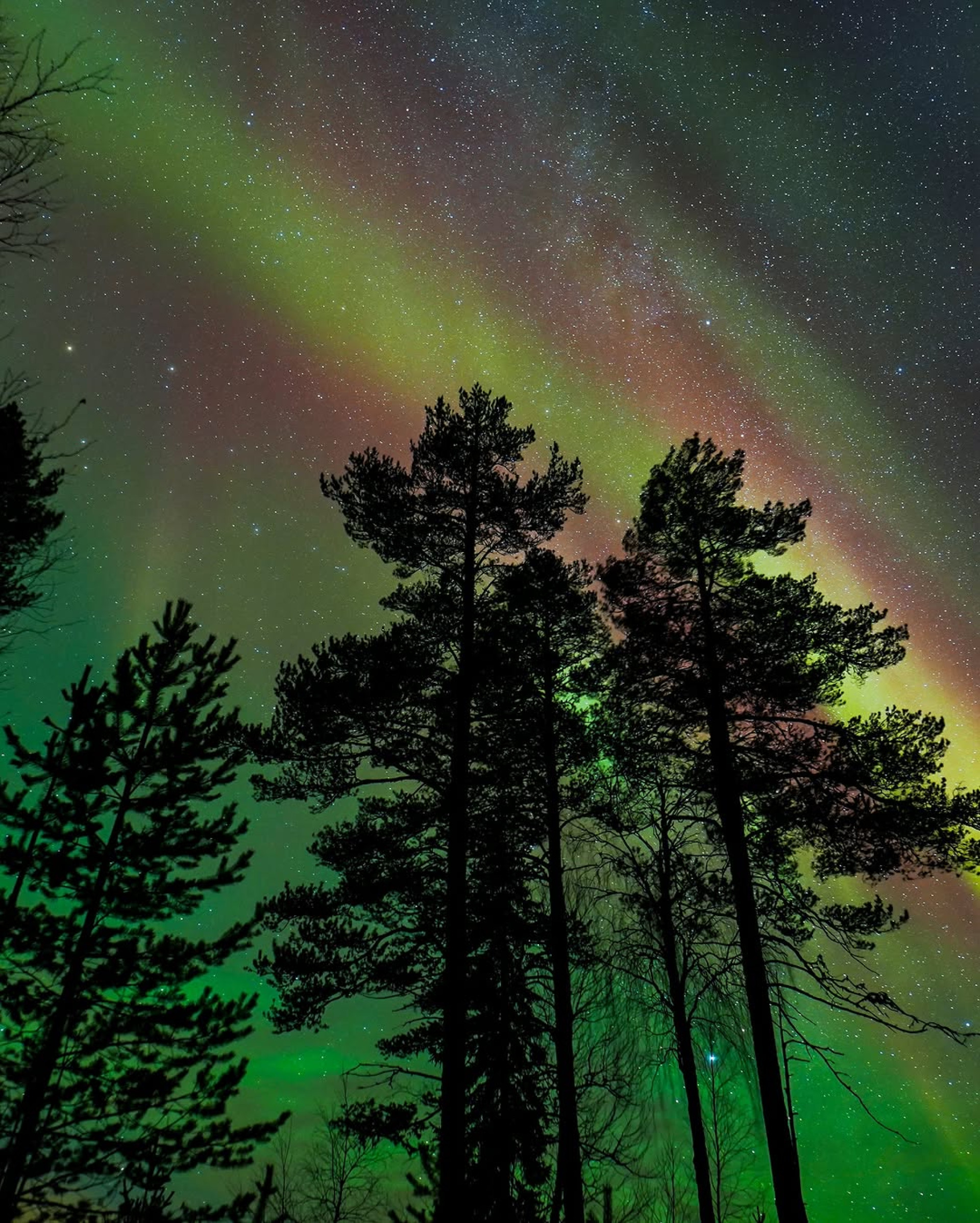 Lar do Papai Noel? Conheça a Lapônia, região onde o Natal é celebrado o ano todo