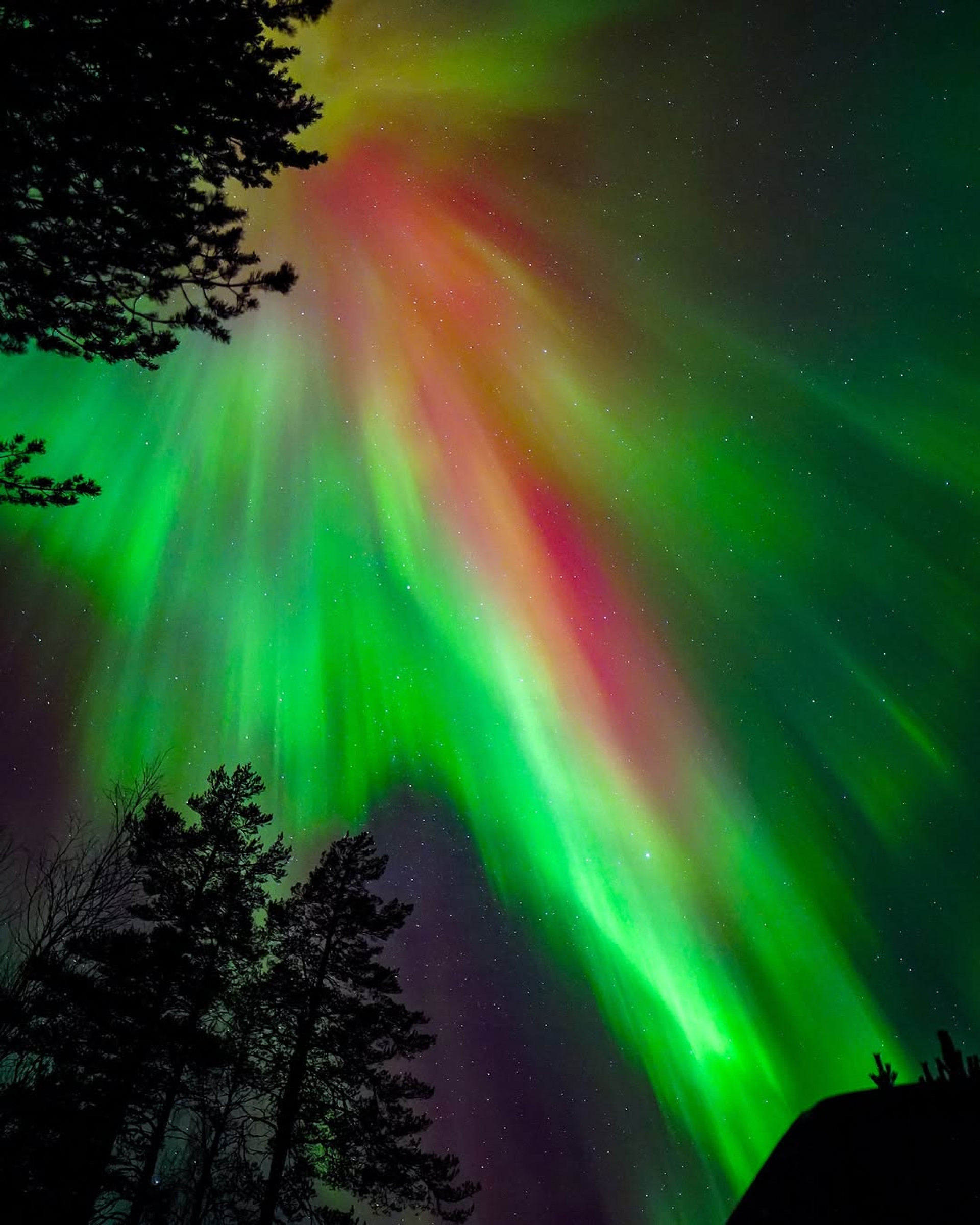 Lar do Papai Noel? Conheça a Lapônia, região onde o Natal é celebrado o ano todo