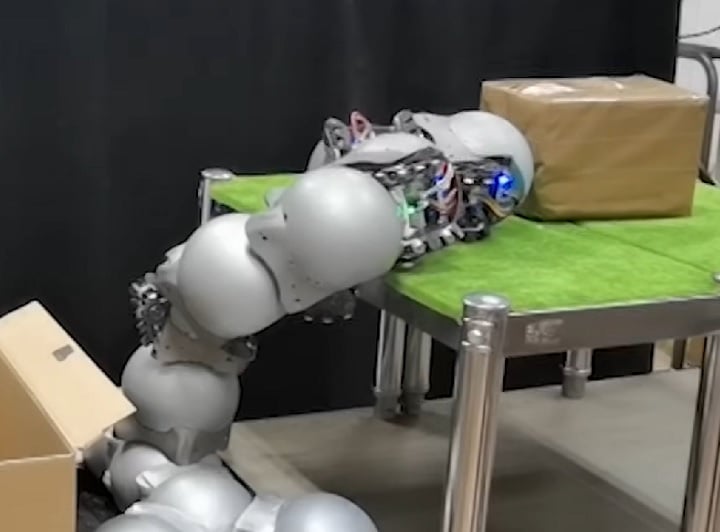 Os caracóis quem andam na terra, por exemplo, têm um pé especial que os ajuda a se mover em terrenos difíceis e a escalar superfícies verticais. 