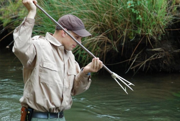 Por se assemelhar a uma lança, o tridente foi usado por muitos anos como uma arma branca também com intuito de pescar.