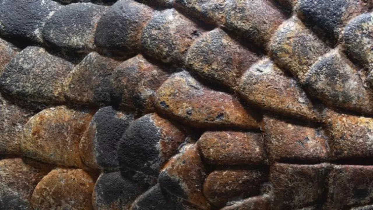 Estima-se que a serpente seja do final do Império Asteca. Em virtude das condições do solo, os traços de estuque e policromia de pigmentos ocre, vermelho, azul, preto e branco sobreviveram. Esses traços estão em mais de 80% da escultura. 