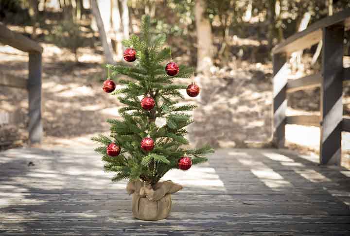 A tradição das árvores de Natal também chegou aos Estados Unidos no fim do século XVIII. Isso aconteceu quando as tropas do estado alemão de Hesse se juntaram aos britânicos na Guerra da Revolução Americana.
