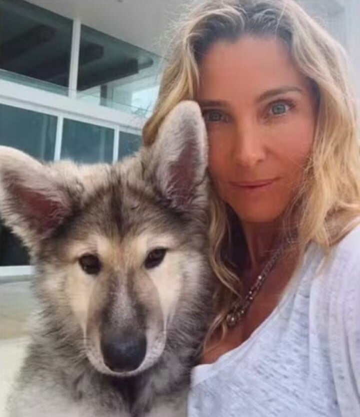 Nos comentários, seguidores questionaram a opção de comprar o animal de criadouro em vez de adotar. “Onde ele foi adotado? Você definitivamente não teria comprado de um criadouro!”, escreveu um perfil, demonstrando indignação. “Adotar é a coisa certa a se fazer. Sempre adotem!”, comentou outro.
