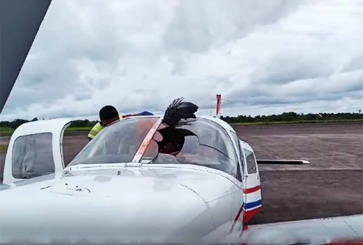 O Instituto de Proteção Ambiental do Amazonas (Ipaam) e o Ministério Público estadual já foram informados das condições irregulares do local. 