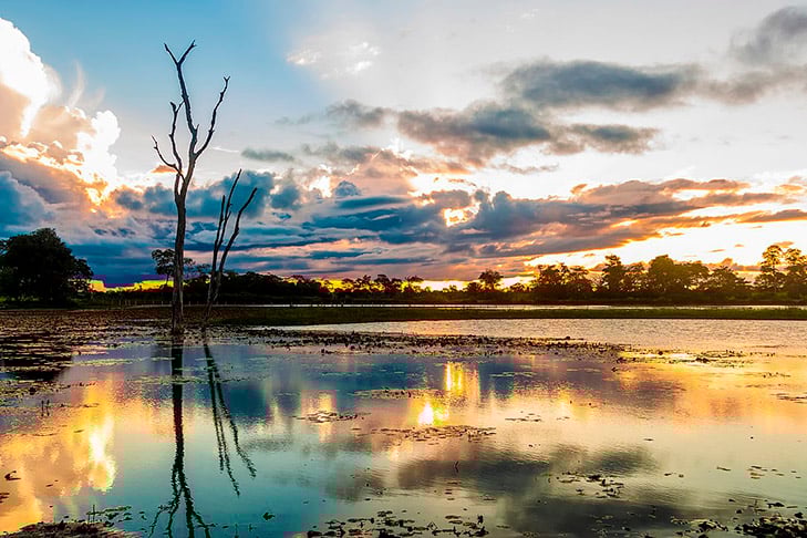  Em outro projeto, também no Centro-Oeste, uma parte do Mato Grosso e outra do Mato Grosso do Sul seriam desmembradas para a formação do estado do Pantanal.