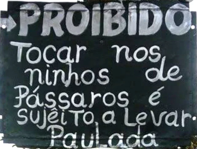 Aqui tem mais um bem nervoso: Proibido tocar nos ninhos de pássaros. Sujeito a paulada.