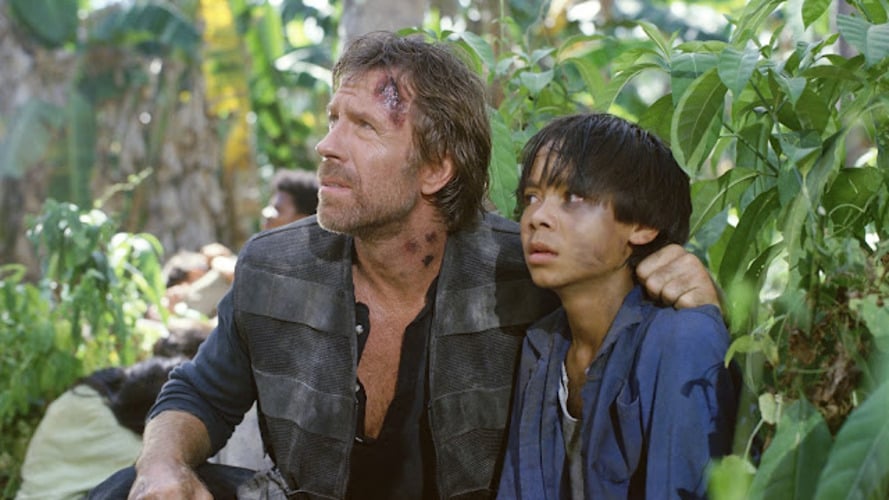 Dois anos depois, Norris participou de mais dois filmes de ação de sucesso: Invasão dos Estados Unidos e Comando Delta. O segundo se tornou mais uma trilogia.