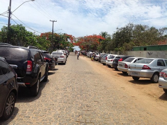 Em março de 2024, o Instituto Vital Brazil e a Prefeitura do município de Armação dos Búzios (RJ) divulgaram um alerta sobre infestação de escorpião-amarelo na  região. 