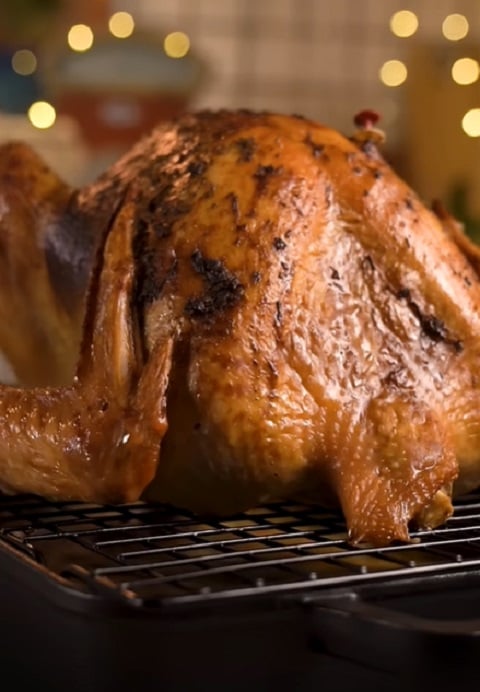 O peru é uma ave com uma origem fascinante e uma série de características que a tornam única. Seja consumido em ceias de Natal ou em outros feriados, ele é uma opção saborosa e saudável para aqueles que apreciam carnes brancas.