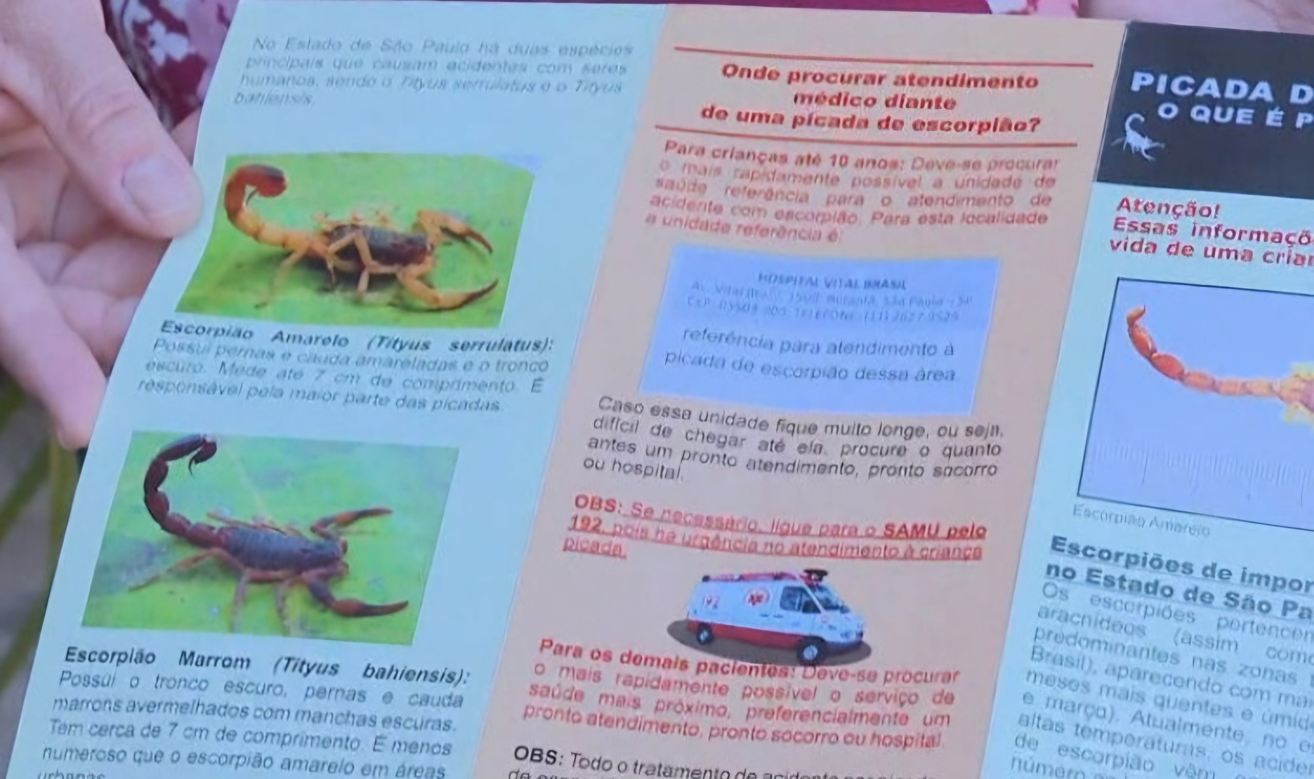 A cartilha ressalta, por exemplo, que ninguém deve jogar veneno nos bueiros, pois não mata os escorpiões e ainda favorece a proliferação.