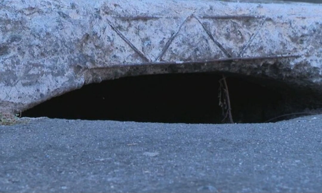 Os escorpiões sarm dos bueiros das ruas e entram em lojas e casas, assustando adultos e crianças. Eles invadem até os armários. 