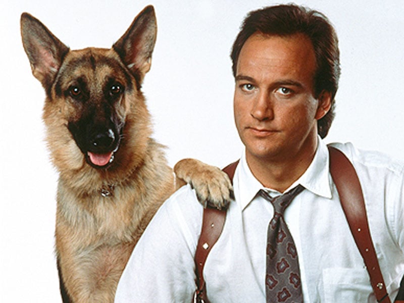 A lista da Preply também cita nomes de personagens famosos, como Hulk, Scooby-Doo, Mingau, Romeu e Julieta.