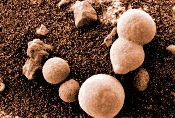 Marte também tem sido alvo de fake news. Em 2021, foi divulgado que fungos tinham sido encontrados no planeta, mas depois a informação foi desmentida por cientistas.