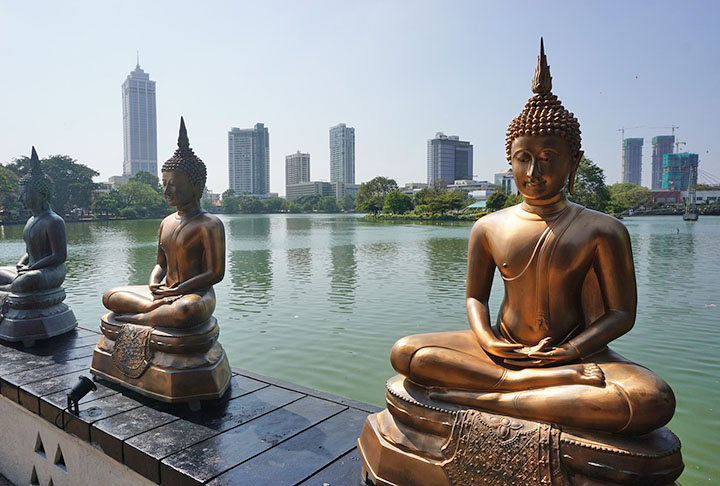 Sri Lanka: Com praias deslumbrantes, templos antigos, plantações de chá verdejantes e uma vida selvagem única, o Sri Lanka é uma das ilhas mais bonitas do mundo. Dentre os 26 parques da ilha, o mais famoso é o Parque Nacional Yala, onde reside a maior população de leopardos do mundo.