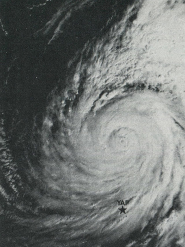 Segundo a enciclopédia Britannica, a expressão foi usada pela primeira vez em 1281 para descrever tufões que protegeram o Japão de uma invasão mongol.