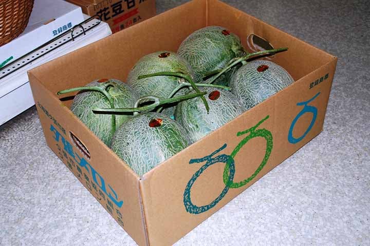 No Japão, por exemplo, é uma tradição presentear as pessoas com frutas. Algo que está enraizado na cultura e uma prática que transcende a mera troca de objetos.   