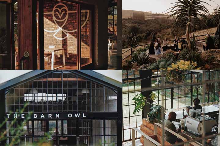 O Café Barn Owl, na Flórida, tem como objetivo promover aos indivíduos dedicados ao aprendizado. Quer seja um novato em busca de explorar o mundo do café ou um barista experiente em busca de aprimorar suas habilidades. Os encontros mensais são projetados para atender a todos os níveis de especialização.