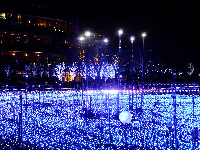 O Starlight Garden fica em Midtown, com iluminação predominantemente azul, e espetáculos temáticos no jardim.  Milhares de lâmpadas de LED abrilhantam o passeio. 