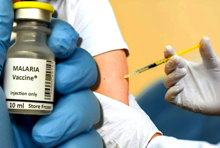 Malária: O vírus ataca em áreas de mata, principalmente na região da Amazônia. E existem imunizantes recomendados pela OMS para evitar a doença. 