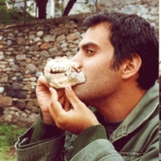 A descoberta dos fósseis foi festejada pelo paleontólogo Giorgos Lyras: Trata-se de um descobrimento importante, é a primeira vez que uma concentração tão alta de fósseis de hipopótamos anões é encontrada na Grécia, disse.