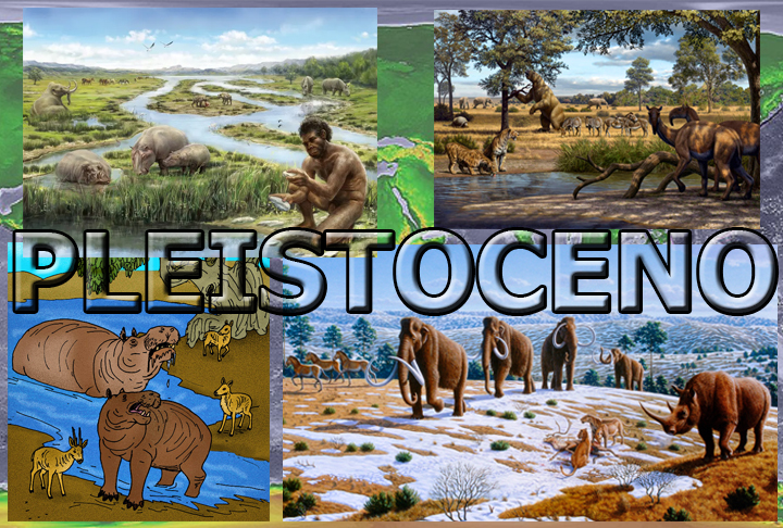 O hipotótamo-pigmeu-de-creta (Hippopotamus creutzburgi) é uma espécie  extinta, que viveu em Creta durante o Pleistoceno, uma era bem longa que está compreendida entre 2.5 milhões e 11,7 mil anos atrás.