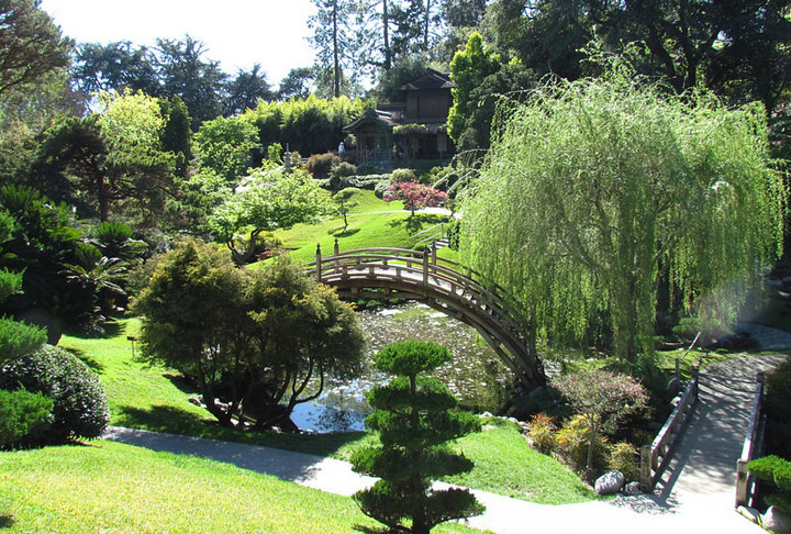 A Huntington Library fica na cidade de San Marino, a 20 minutos do centro de Los Angeles. O espaço possui 12 jardins, inclusive com plantas vindas da Austrália, China, Japão, entre outras, com aclimatações específicas. 40 jardineiros e 100 voluntários cuidam do local. 