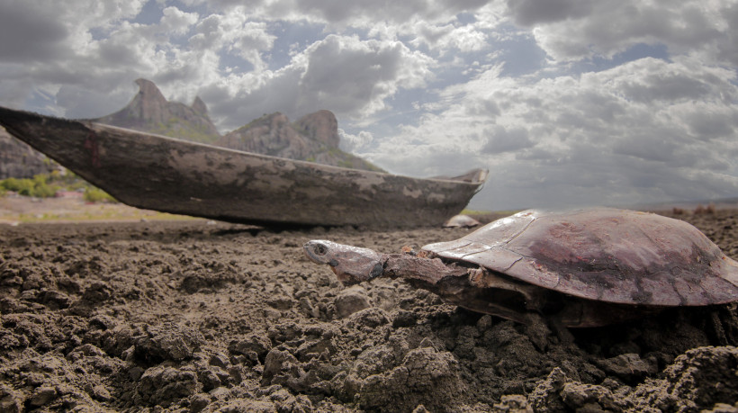 Foto de apoio ilustrativo: quatro munícipios do Ceará integram lista de emergência para desastres do Diário Oficial da União (DOU)