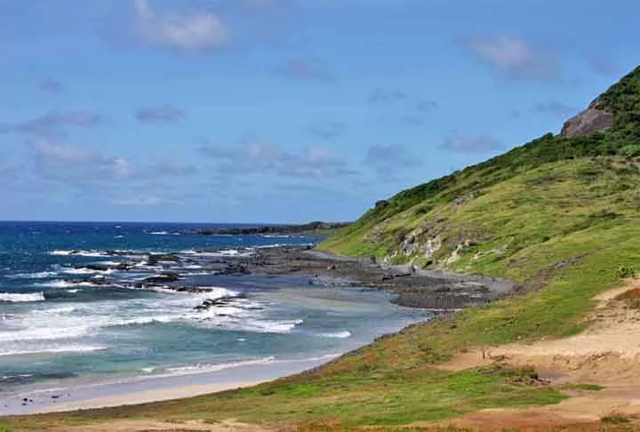 De acordo com Barbara Vilarins, pesquisadora da UFRJ e uma das autoras do estudo, os animais medem cerca de 16 centímetros e vivem de 200 a 400 metros de profundidade. A gente imagina peixes de profundidade como assustadores, enormes, mas os peixes-dragão são bem pequenininhos, afirmou.