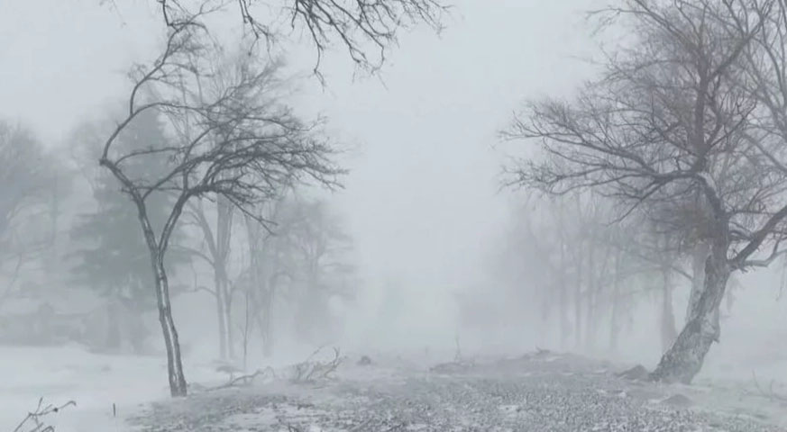 As cidades atingidas pela tempestade de neve ganharam uma aparência fantasmagórica. Parecia cenário de filme. 