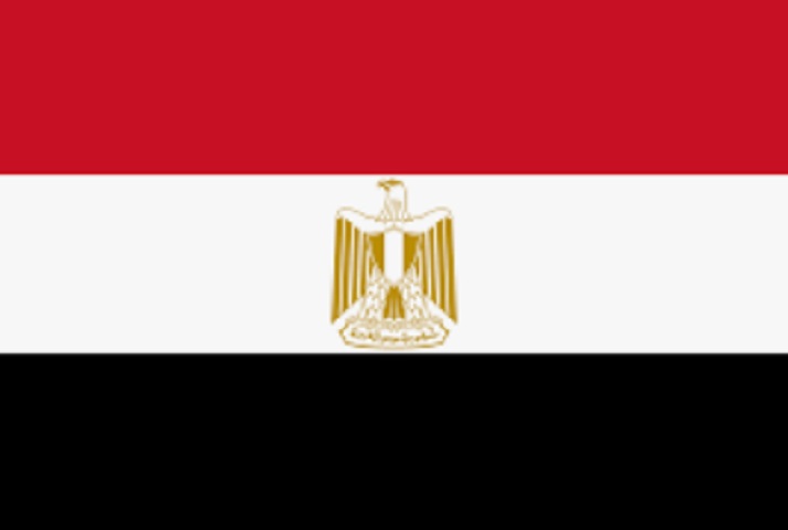 No Egito, crimes como terrorismo, assassinato e traição podem levar à pena capital, com as execuções ocorrendo principalmente por enforcamento.