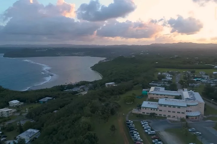 A ilha de Guam, um território dos Estados Unidos no Oceano Pacífico, tem sofrido com uma das piores infestações de cobras do mundo.