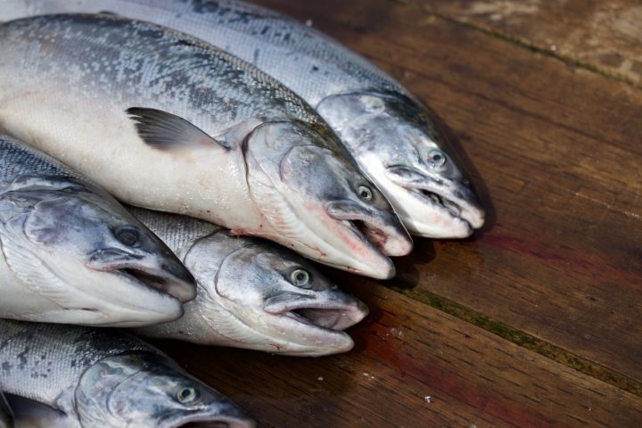 Salmão: O salmão é um peixe muito apreciado por aqueles que desejam uma refeição mais refinada. Com postas largas, é suculento e macio. 