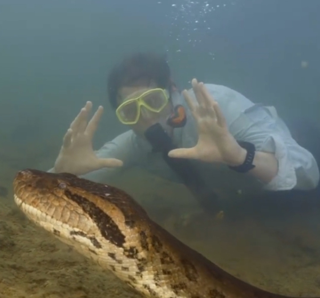 Ele acenou para demonstrar que o tamanho da cabeça da cobra é quase o da sua própria cabeça.