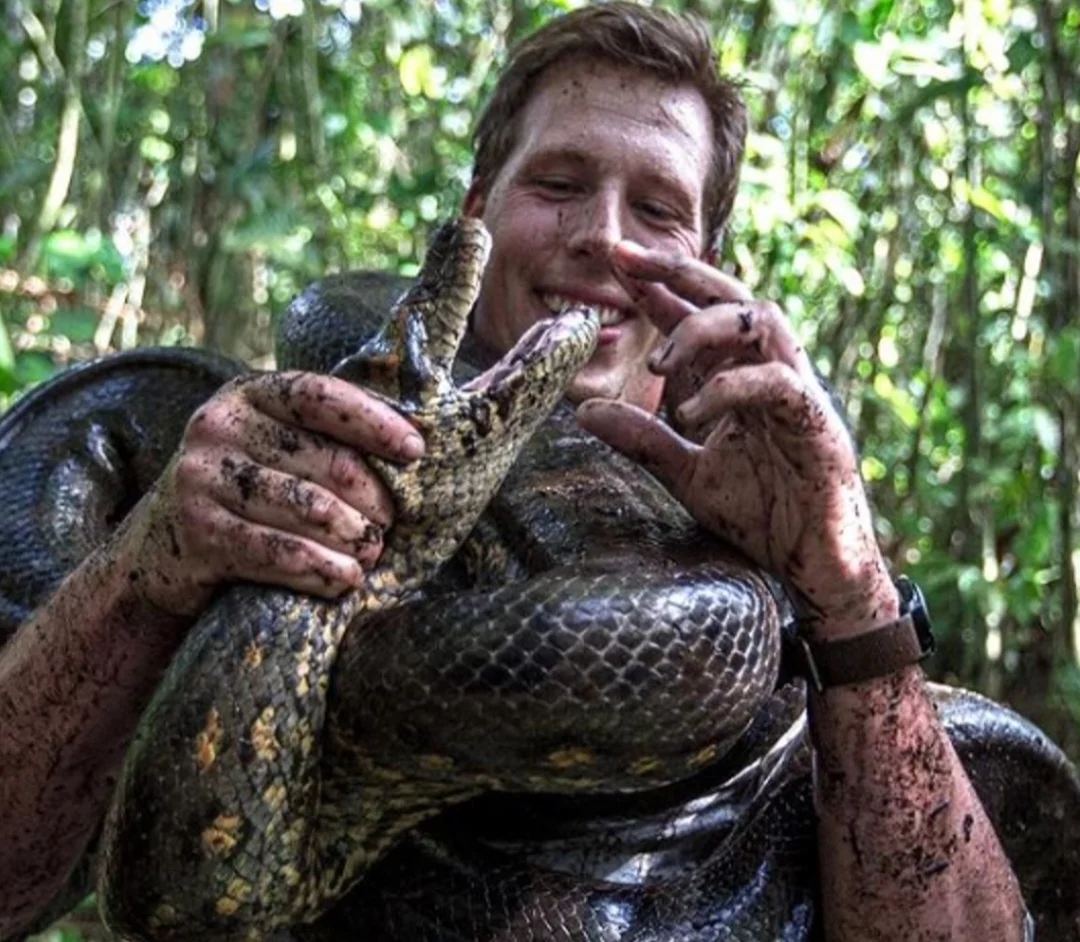 Ele disse que essa cobra chega a 8 metros de comprimento e mais de 200 quilos. E que existem 2 espécies muito semelhantes entre si, mas com diferença genética de 5,5%