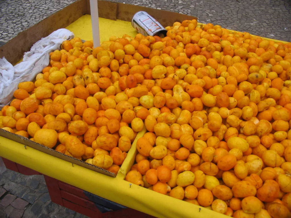 Ricas em vitaminas e refrescantes, as frutas são ótimas opções para quem quer se prevenir de doenças e ter bem-estar. No entanto, engana-se quem acha que banana e laranja, que foram símbolos do Brasil, tenham origem verde e amarela. Com isso, o Flipar traz uma lista de frutas que nasceram no país, algumas desconhecidas do público.