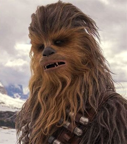 Peter Mayhew (1944 - 2019) - Chewbacca  - O ator britânico, nascido em 19/5/1944, morreu em 30/4/2019, aos 74 anos
