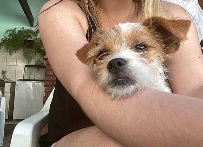 A história dos estopinhas lembra que a natureza sempre surpreende e assim é possível encontrar a originalidade e singularidade dos seres, onde o amor e a aceitação vão muito além das aparências. 