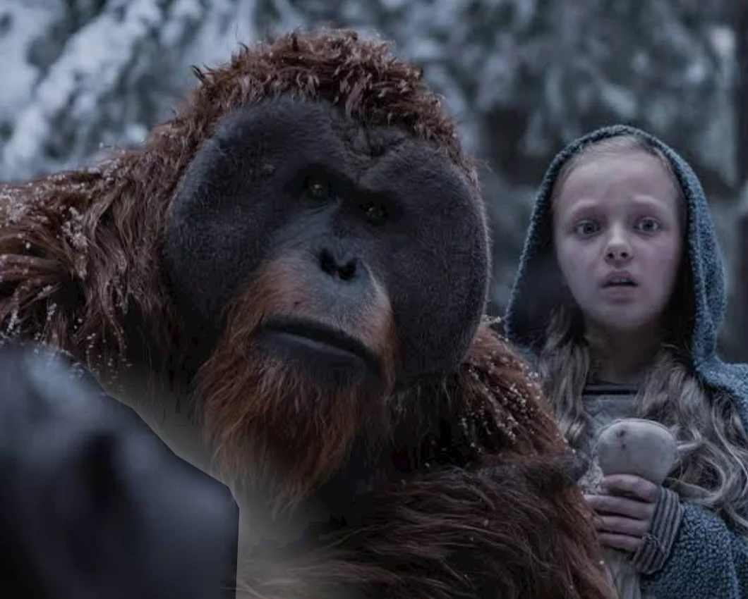 O macaco Maurice, querido do público na franquia O Planeta dos Macacos - uma espécie de conselheiro do líder Cesar - é um orangotango. E no filme sobre a guerra protege a menina encontrada na selva. 