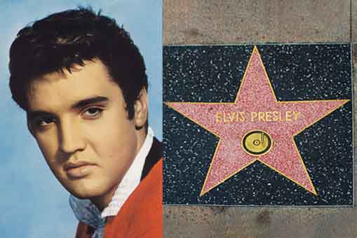 Ao longo do caminho, são homenageadas com placas em formato de estrelas celebridades de diversos segmentos, como o Rei do Rock and Roll Elvis Presley. 
