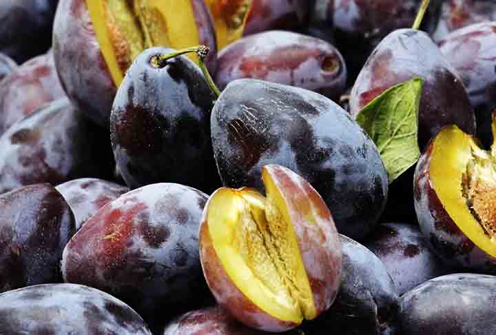 Seu consumo regular pode, assim, contribuir para uma vida mais saudável e equilibrada, além de ser uma excelente opção para quem busca controlar o peso ou prevenir doenças crônicas.