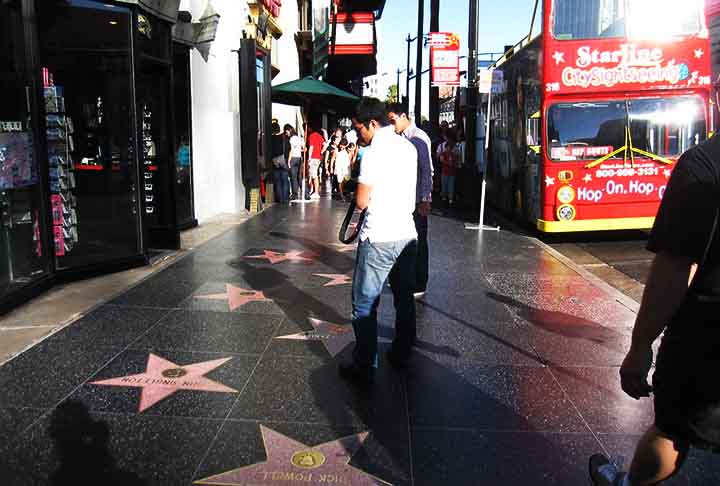 Ao todo, são seis as categorias contempladas nas calçadas de Los Angeles: cinema, esportes, música, rádio, televisão e teatro. 
