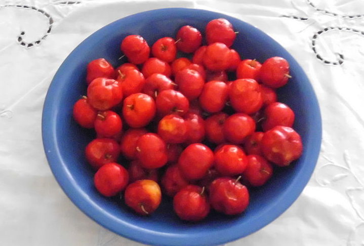 Em 2017, por exemplo, a produção nacional atingiu 60.966 toneladas, com um valor de produção de R$ 91.627 mil reais. Conheça mais sobre essa fruta tão amada pelos brasileiros!