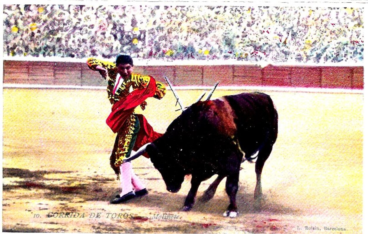 Já ao longo do século 20, a popularidade da tourada declinou em alguns países, enquanto se mantém forte em outros.