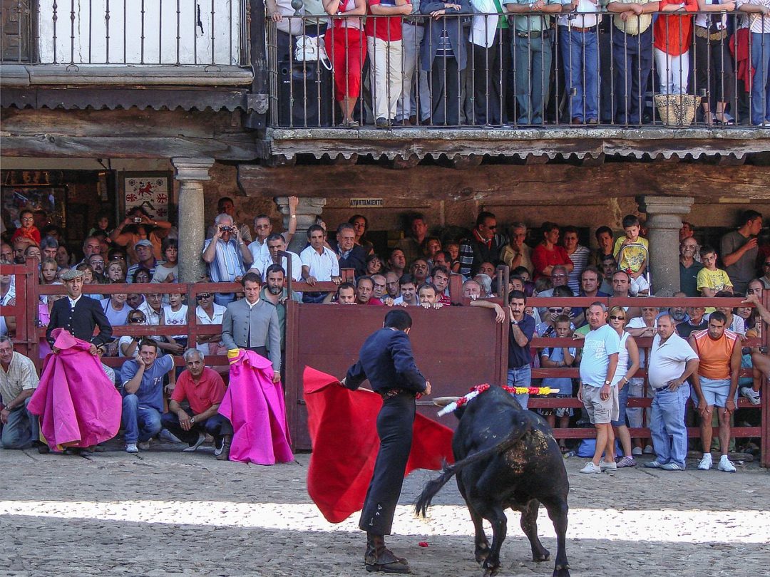 Também conhecidas como tauromaquia, as touradas são uma tradição controversa com raízes profundas em diversas culturas, principalmente na Península Ibérica e em partes da América Latina.