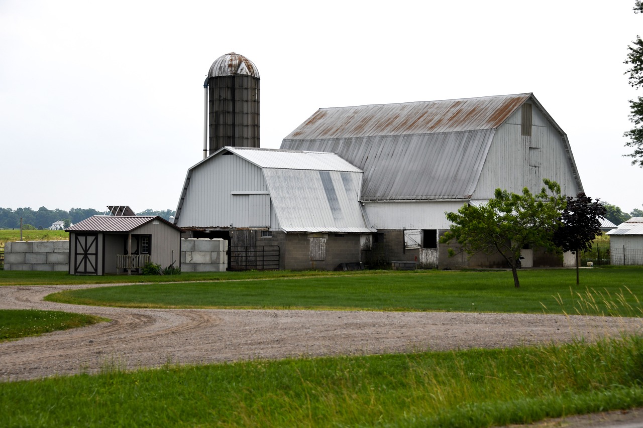 Como parte dos menonitas, os amishs são descendentes dos grupos suíços de anabatistas chamados de reforma radical. Eles tiveram suas origens com Felix Manz (1498-1527) e Conrad Grebel (1498-1526). 