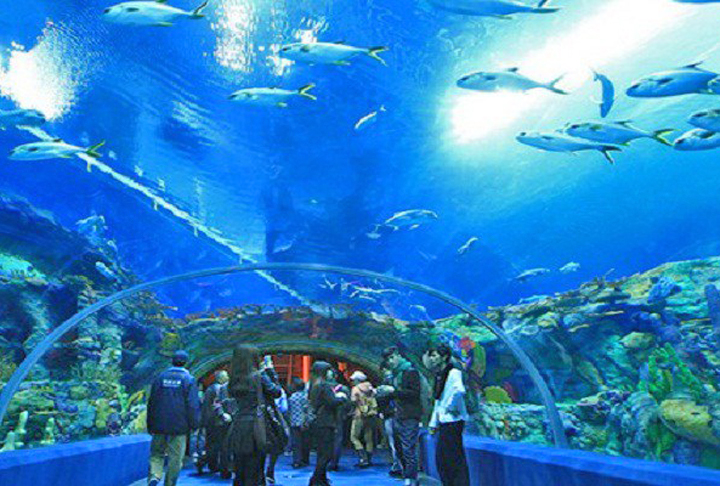 O tanque gigantesco tem mais de 700 mil galões de água salgada e fica num túnel  onde as pessoas caminham por 98 metros, apreciando as centenas de espécies. O aquário é especialista nos animais que habitam os 12 mil km da costa da Austrália Ocidental. Entre eles, o tubarão-lixa, a tartaruga cabeçuda, polvos, arraias e grandes tubarões. 