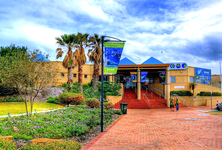 10º lugar - Aquarium of Western Australia - Fica na cidade de Perth, na Austrália.  Inaugurado em abril de 1988,  