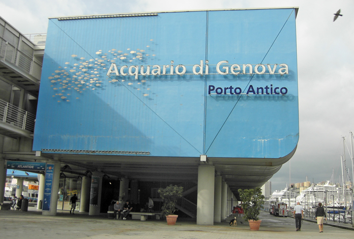 9º lugar - Acquario di Genova - Fica em Gênova, na Itália. Construído para a Expo 92 como homenagem ao navegador Cristóvão Colombo, descobridor da América, que nasceu na cidade. 