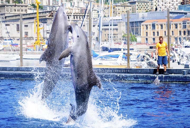 Localizado no Porto Antigo, o aquário tem 3 mil m² e foi criado com o objetivo de destacar espécies do Mar da Ligúria, os recifes do Atlântico Norte e do Caribe. Hoje, tem 70 tanques com 6 milhões de litros de água com 400 espécies do Oceano Índico, Mar Mediterrâneo e Mar Vermelho, inclusive focas e pinguins.