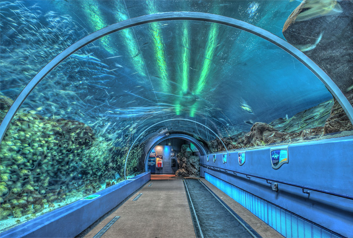 O maior aquário do planeta tem um número espantoso de 100 mil animais em 10 milhões de litros de água.  Abriga mais de 500 espécies marinhas de diversas partes do mundo, inclusive peixes amazônicos como pirarucus e pacus. O espaço oferece apresentações de golfinhos. E tem cinema 4D para experiências de simulação com animais. 